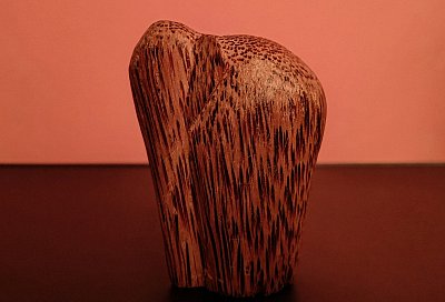 Pozdrav z exotiky pro štěstí *