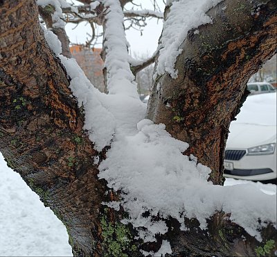 Ještě jsem tady...