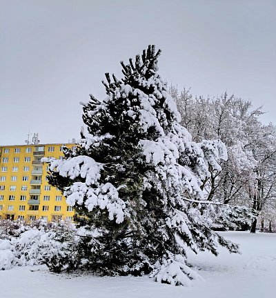 Byla zima, byl sníh