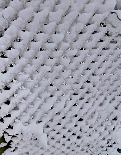 Hádanka, co jsem fotila? (nesoutěžní)