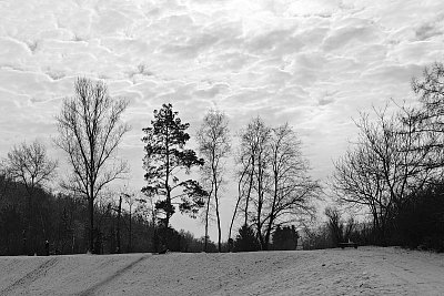 Příroda ... balzám na duši