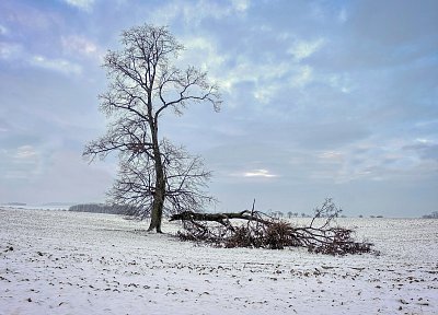 Raněný velikán.....
