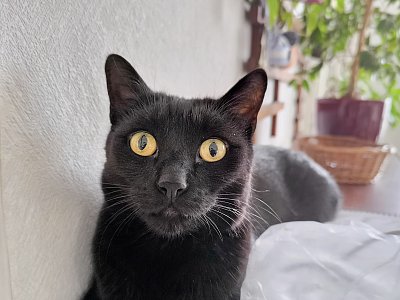 ...a tady je Bertíkovo!!!