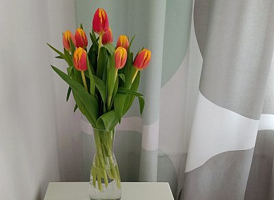 My to tu rozsvítíme, jsme z lásky *