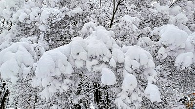 Únorové nadělení *