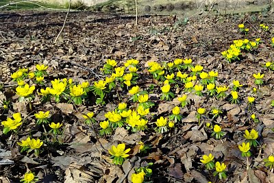 A je to tady...jaro přišlo