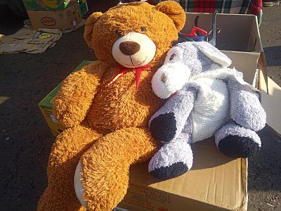 Jaro probouzí làsku i na blšáku