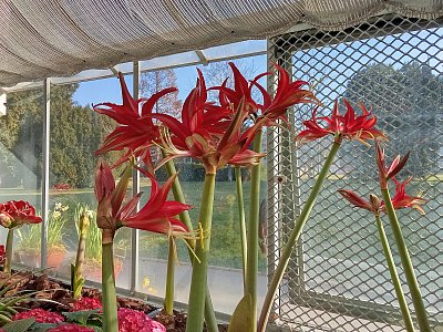 Z dnešní návštěvy "Předjaří"