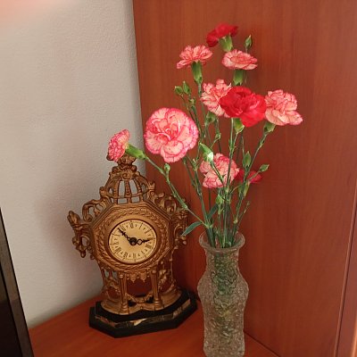 Přeji hezký den všem nám Milým Dobrým Ženám :-)