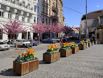 Jarní brněnské ulice