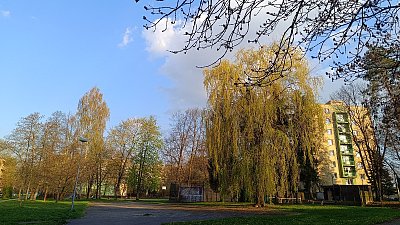 Návrat jarním podvečerem *