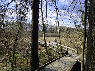 Rozjímání pod Zelenou horou ...