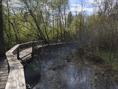Mokřady pod Zelenou horou