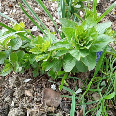 Nekonečný seriál - Jak se jmenuji?