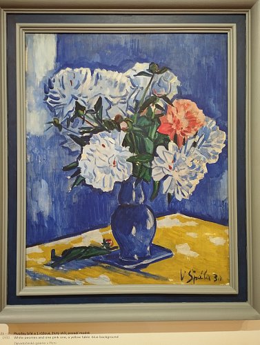 Pivoňky bílé a 1 růžová