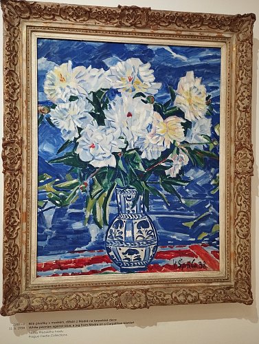 Bílé pivoňky v modrém