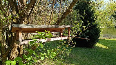 Bufet pro ptáčky i pro veverky ;-)