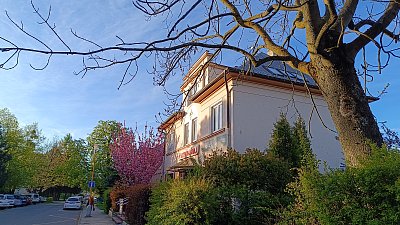 Zrána na záskok...