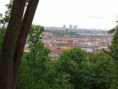Pohlednice