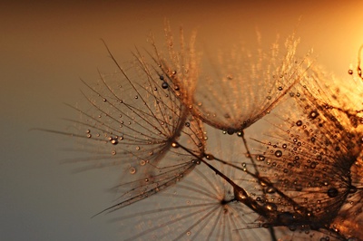 Fotosoutěž graduje, na vložení posledních snímků zbývá jen týden