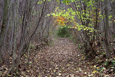 Cesta za dobrodružstvím