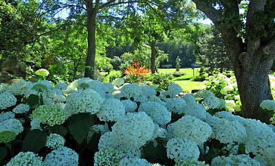 Výlet na Panství Velichov