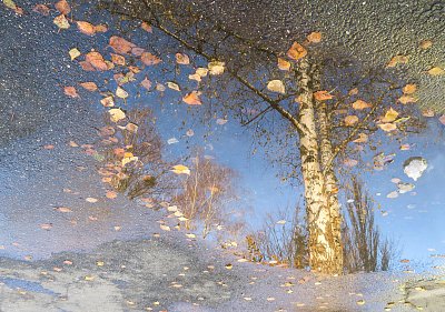 Podzimní pouliční obrázek