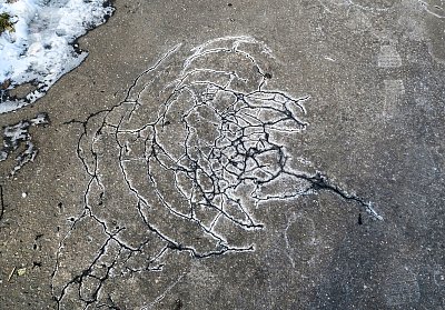 Že by mozek chodníku?