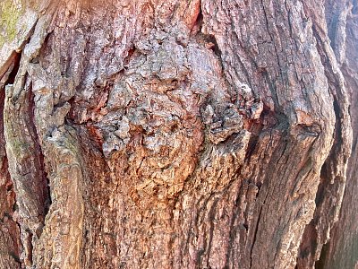 Co vidíte tentokrát?*