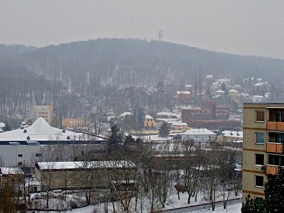 Na tohle si zatím počkáme, foceno 10.2.25 *