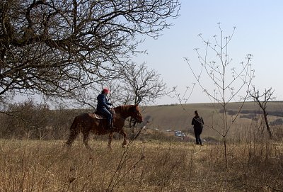 Někteří na koni