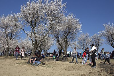 Lidské mraveniště
