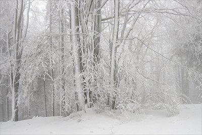 Mlžné krajkoví ...