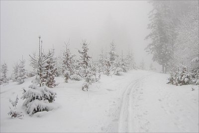 Běžkařská stopa ....