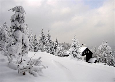 Sněhové nadělení *
