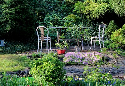 Roste to jako z vody