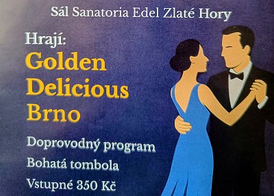 Jubilejní 10. spolkový ples