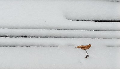 Zimní spočinutí na lavičce