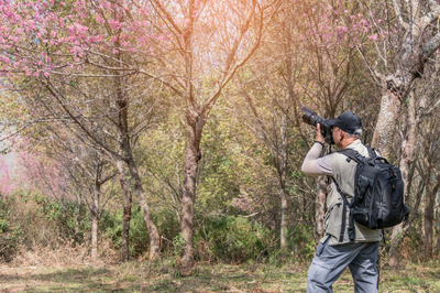 Startuje fotosoutěž Obrázky jara