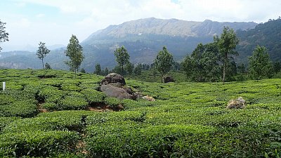 Munnar