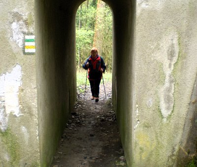 Komu se nelení, ten jde po zelené...