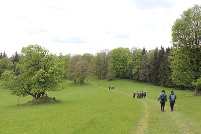 Jdeme jarní přírodou