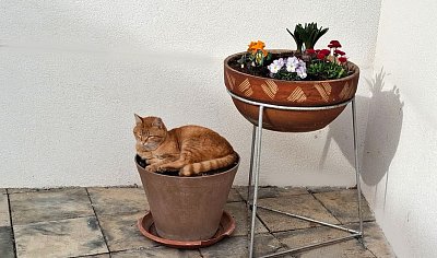 Jarní výzdoba - nesoutěžní