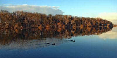 Ještě se nezelená