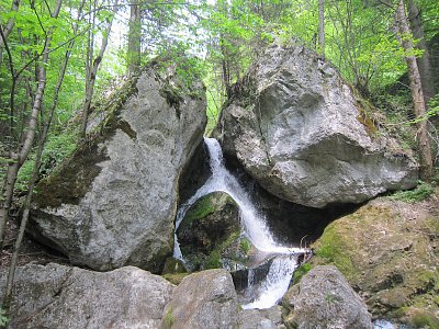 Vidíš Bohouše jako já ?