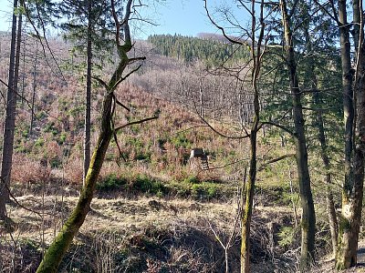 Když nevíš, dej bé *