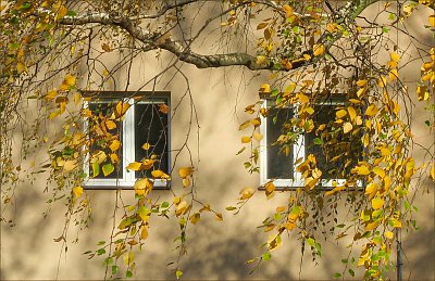 Podzimní záclonky ...