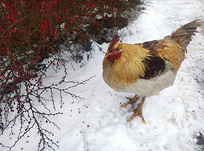 Co to je? To neznám ☻