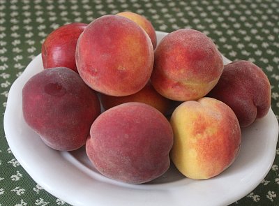 Broskve z naší zahrádky