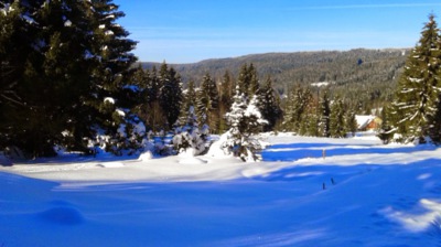 Krásno v Krušných horách